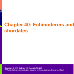 Section 28-4 echinoderms answer key