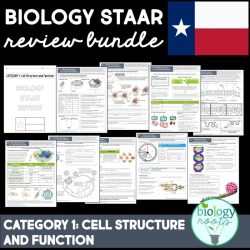 Dna review packet answer key