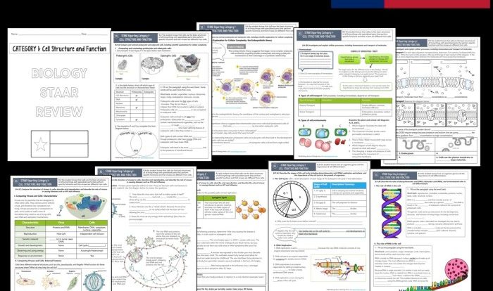 Dna review packet answer key