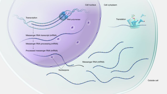 Gene expression activity making lemonade