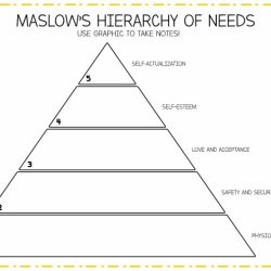 Maslow hierarchy nurses prioritize maslows basic fundamentals