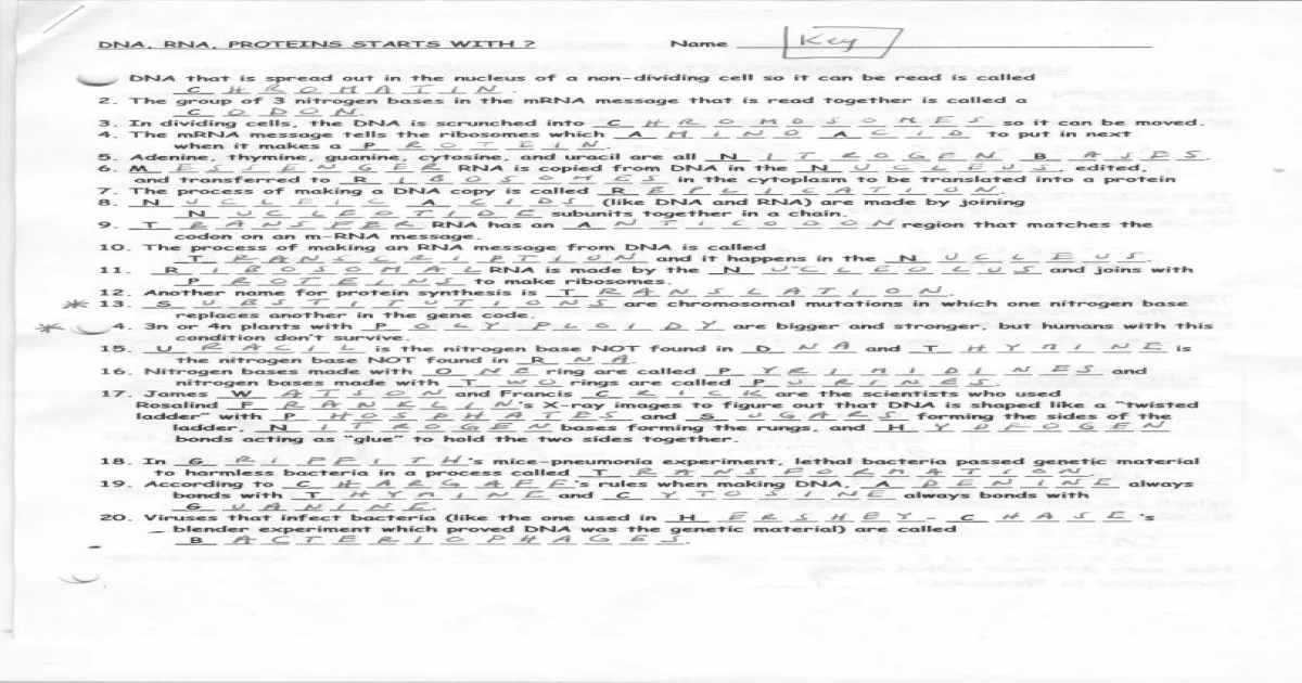 Dna review packet answer key