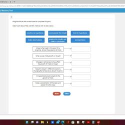 Match each type of factorial design to the correct definition.