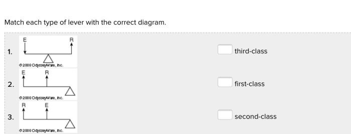 Each correct drag term definition match its function