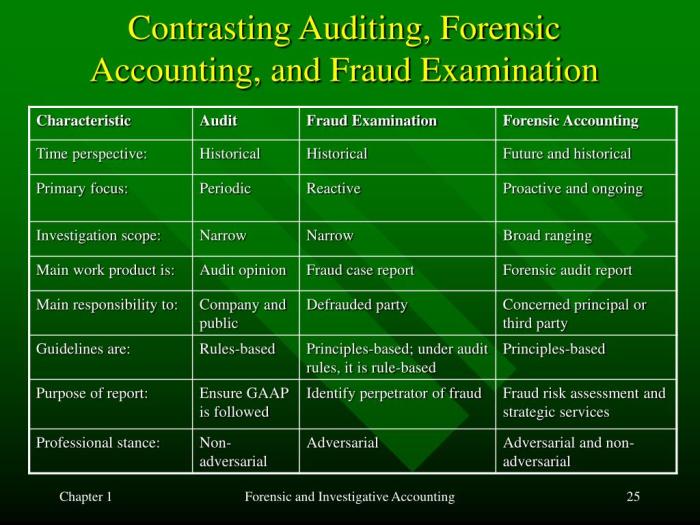 Forensic accounting its india investigation tapes universal mere numbers beyond came century field own way last long into just but